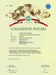 HERMI - Championat Polski