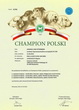 JADE - Championat Polski
