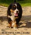Beautiful Girl
