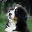 Deby