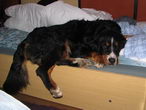 DIZZY w domciu...