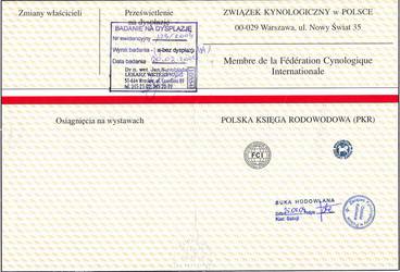 Rodowód Dżiani