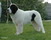 Landseer BART