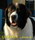 42 - Landseer GORDON z Aresibo