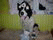 01/ - BART - 2006 