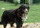 02/ - DŻIANI - 2007