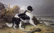 Sir Edwin Landseer - 'Off to the Rescue' -1827