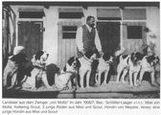 Pan Schlittler-Laager, prowadzący hodowlę 'von. Mollis' - pionier współczesnej hodowli odmiany biało-czarnej, która data początek nowej rasie, nazwanej później 'Kontinental Landseer'.
