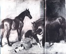 01-_Horses_and_dogs_with_a_Carrot_-_Sir_Edwin_Landseer_1827