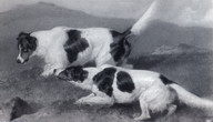 05-_Setters_-_Sir_Edwin_Landseer_1849