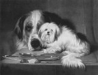 29-_The_Lion_Dog_of_Malta_-_Sir_Edwin_Landseer_1840