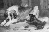 30-_Lion_and_Dash_-_Sir_Edwin_Landseer_1840