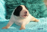 maluchy ZAHIRY i HERMOSO