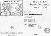 ARUN z Laderova