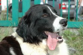 Ustroń_06_07.2008 - HETI