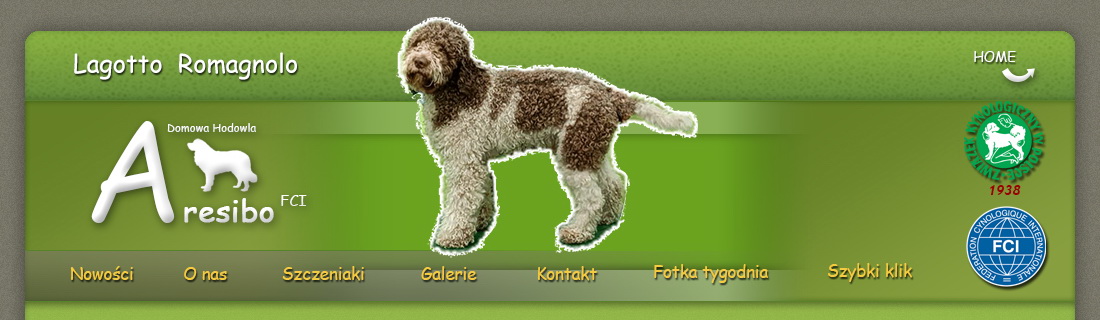 Lagotto