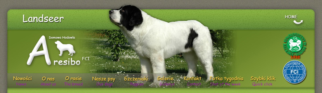 Landseer